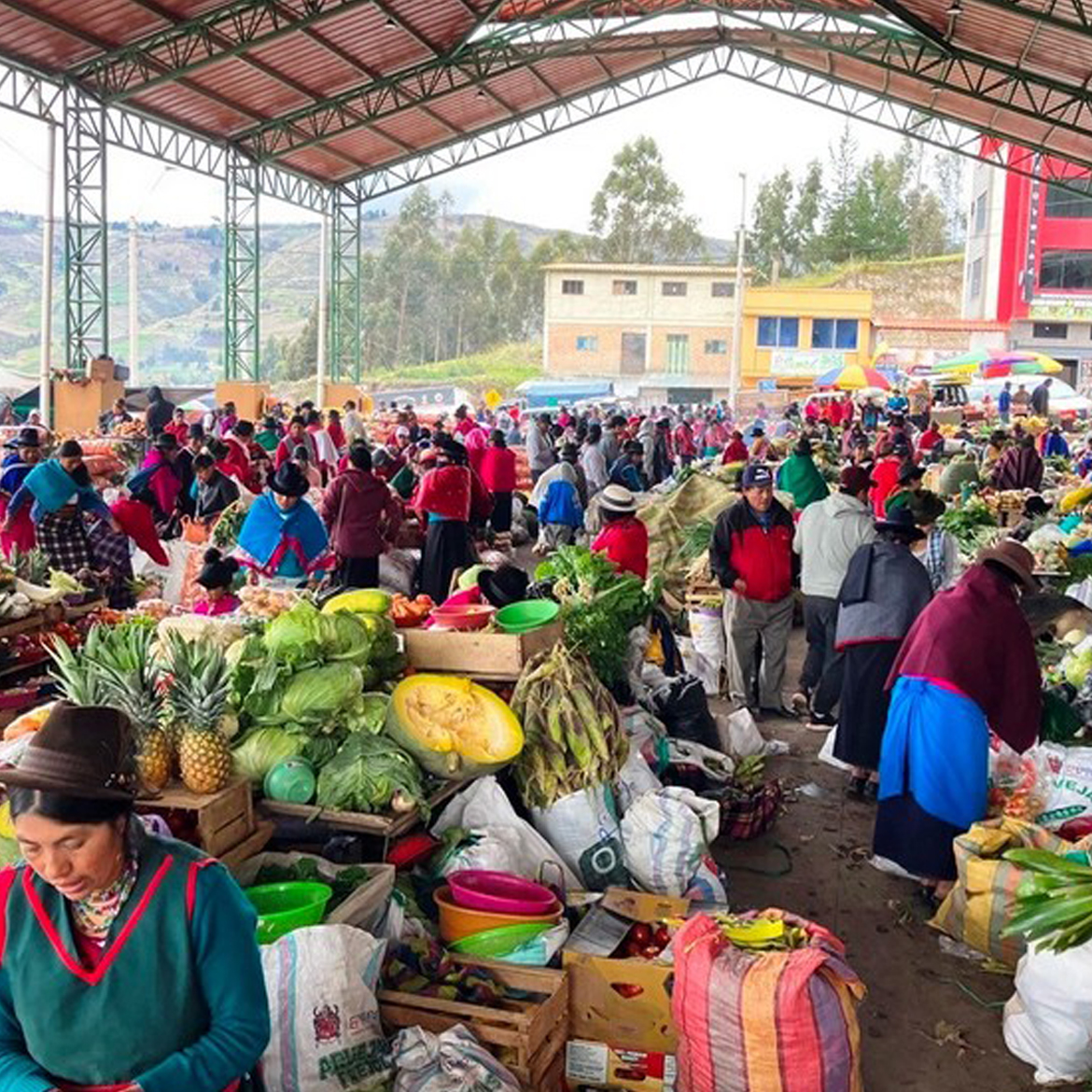 Explore Ecuador - Maatwerkreizen naar Ecuador